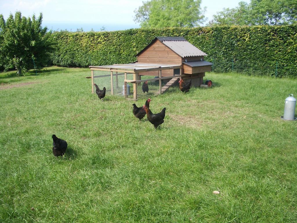 Faside Estate Bed and Breakfast Musselburgh Εξωτερικό φωτογραφία