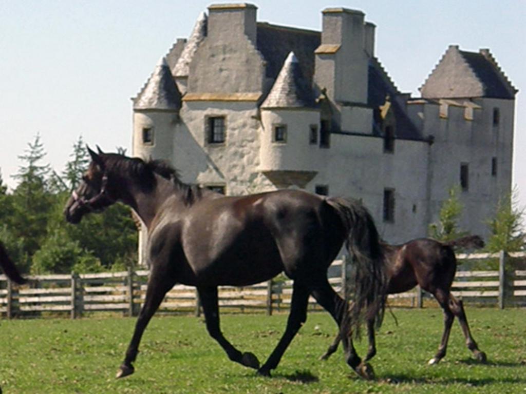 Faside Estate Bed and Breakfast Musselburgh Εξωτερικό φωτογραφία